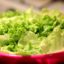 Предупреждение: Бактерията салмонела устойчиво се заселва в зеленчуците | | Новини от България и Света